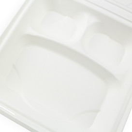 Emballage Canne à Sucre Blanche 3C 23x23x7,5cm (50 Utés)