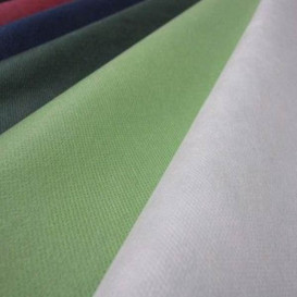 Set de Table en PP Non-Tissé Vert 30x40cm 50g (500 Utés)
