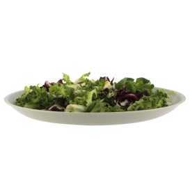 Assiette Réutilisable Premium PP Minéral Gris Ø27,5cm (6 Utés)