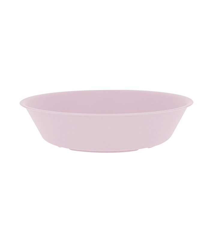 Assiettes en plastique réutilisables