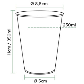 Gobelet Plastique Transparent PP 350 ml (2.000 Unités)
