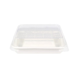 Plateau pour Tacos en Canne à Sucre Blanc 18,5x18,5cm (50 Utés)