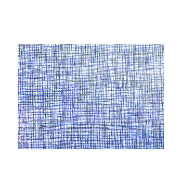 Set de Table papier 30x40cm "Entre Lignes" Bleu 40g/m² (1000 Utés) Set de Table papier 30x40cm "Entre Lignes" Bleu 40g/m² (1000 Utés)