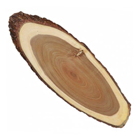 Plateau Ovale Présentation en Bois 508x203x19mm (6 Utés)