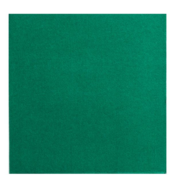 Serviette Papier Vert 2E Molletonnée 33x33cm (50 Ués)
