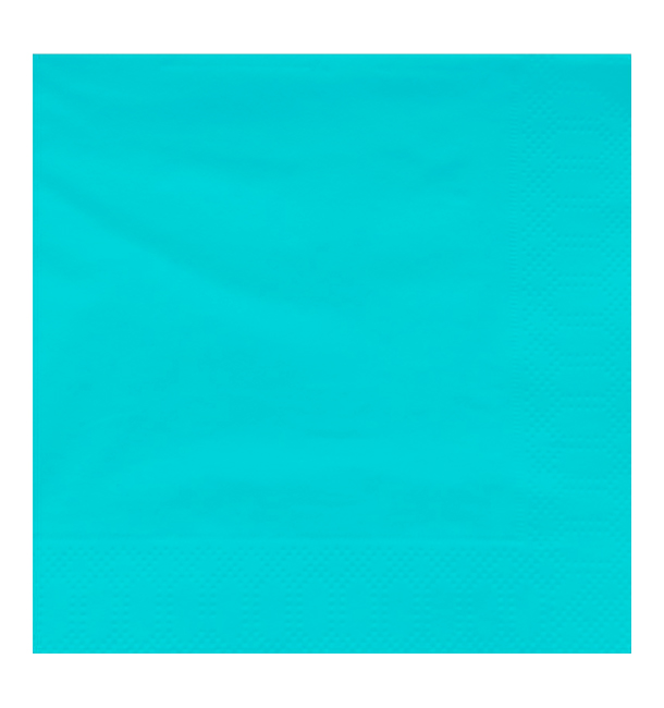 Serviette en Papier Ouate 40x40cm Turquoise (1200 Utés)
