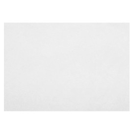 Set de Table en PP Non-Tissé Blanc 30x40cm 55g (500 Utés)