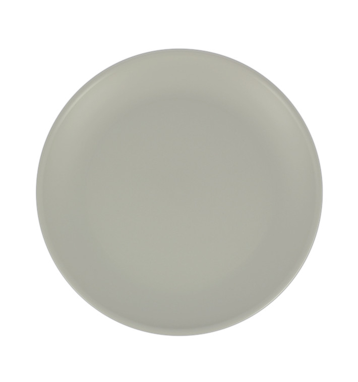 Assiettes en plastique réutilisables