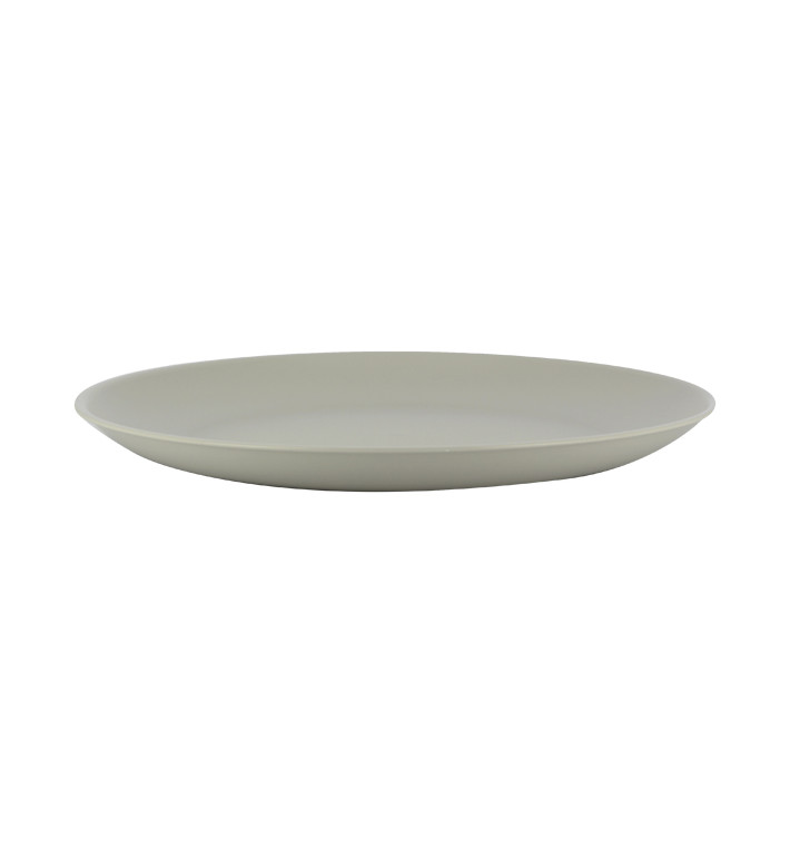 Assiettes en plastique réutilisables