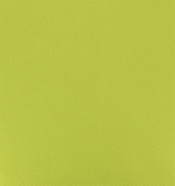Nappe en papier en Rouleau Vert Pistache 1x100m 40g (6 Unités)