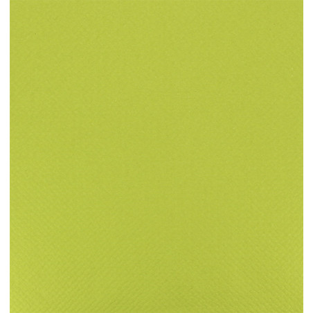 Nappe en papier en Rouleau Vert Pistache 1x100m 40g (6 Unités)
