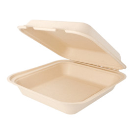Boîte Bio en Canne à Sucre Naturel 20x20x7,5cm (250 Utés)