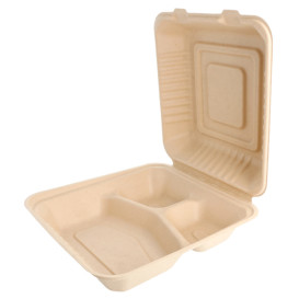 Boîte en Canne à Sucre Naturelle 3C 20x20x7,5cm (50 Utés)