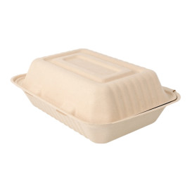 Boîte Canne à Sucre Naturel 165x225x64mm 1000ml (50 Utés)