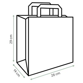 Sacs en Papier Kraft avec Anses Plates 80g/m² 26+14x29cm (50 Unités)