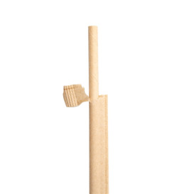 Paille Papier Naturel Emballée Kraft Ø6mm 21cm (250 Utés)