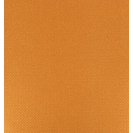 Nappe en papier en Rouleau Orange 1x100m 40g (6 Unités)