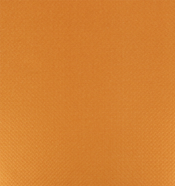 Nappe en papier en Rouleau Orange 1x100m 40g (1 Unité)