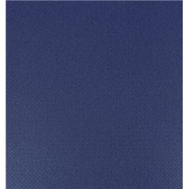 Nappe en papier en Rouleau Bleu 1x100m 40g (6 Unités)