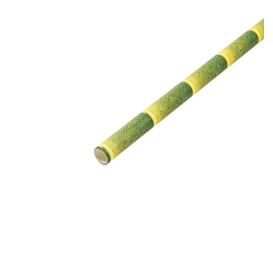 Paille Droite Papier Bambou Ø6mm 21cm (250 Utés)
