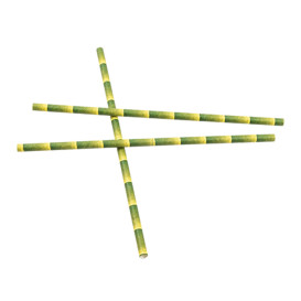 Paille Droite Papier Bambou Ø6mm 21cm (250 Utés)