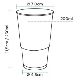 Verre Plastique PP Transparent 250ml (3.000 Utés)