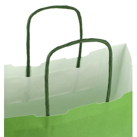 Sac en Papier Vert avec Anses 100g/m² 25+11x31cm (200 Utés)