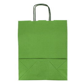 Sac en Papier Vert avec Anses 100g/m² 25+11x31cm (200 Utés)