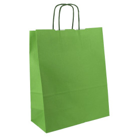 Sac en Papier Vert avec Anses 100g/m² 25+11x31cm (200 Utés)