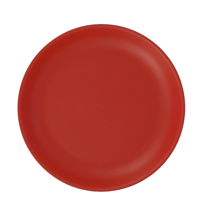 Assiettes en plastique réutilisables