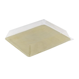 Couvercle Plastique PET 27x20cm (10 Utés)