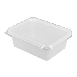 Boîte avec Couvercle Plastique Transp. 127X91x42mm (100 Utés)