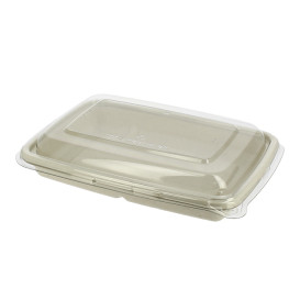 Boîte Canne à Sucre et couvercle 600ml 230x160x50mm (15 Utés)