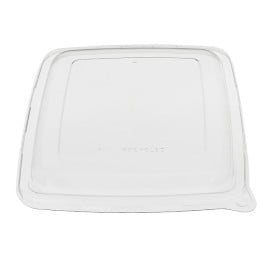 Couvercle Plastique PET pour Barquette 230x230mm (75 Utés)