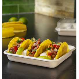 Plateau pour Tacos en Canne à Sucre Blanc 18,5x18,5cm (50 Utés)