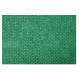  Nappe en PP Non-Tissé Vert 120x120cm (150 Utés)