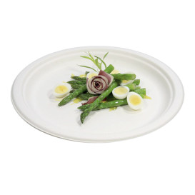 Assiette Bio en Canne à Sucre Blanc Ø260mm (250 Utés)