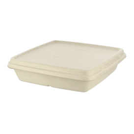 Couvercle pour Barquette Canne à Sucre 230x230mm (75 Utés)