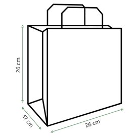 Sac Papier Kraft avec Anses Plates 70g/m² 26+18x26cm (250 Utés)