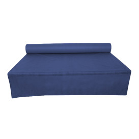 Nappe Rouleau PP Non Tissé Bleu 1,2x50m 55g (6 Utés)