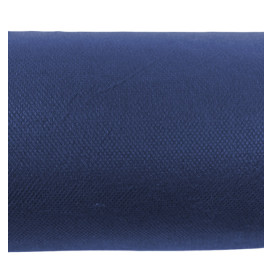 Nappe Rouleau PP Non Tissé Bleu 1,2x50m 55g (1 Uté)
