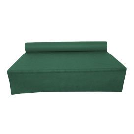 Nappe en rouleau PP Non Tissé Vert 1,2x50m 50g (6 Utés)