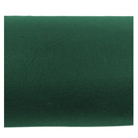 Nappe en rouleau PP Non Tissé Vert 1,2x50m 50g (1 Uté)