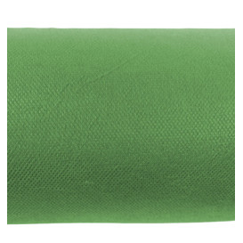 Nappe Rouleau PP Non Tissé Pistache 1,2x50m 50g (1 Uté)