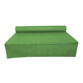Nappe Rouleau PP Non Tissé Pistache 1,2x50m 50g (1 Uté)