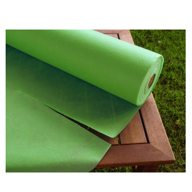 Nappe Rouleau PP Non Tissé Pistache 1,2x50m 50g (1 Uté)