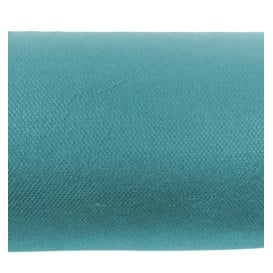 Nappe Rouleau PP Non Tissé Turquoise 1,2x50m 50g (1 Uté)
