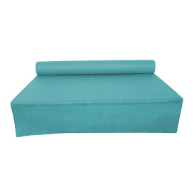 Nappe Rouleau PP Non Tissé Turquoise 1,2x50m 50g (1 Uté)