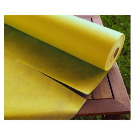 Nappe Rouleau PP Non Tissé Jaune 1,2x50m 50g (1 Uté)