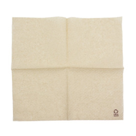 Serviette Papier Gaufré Écologique 30x30cm 1 Epaisseur (100 Utés)